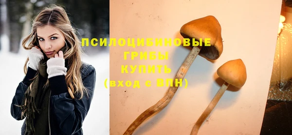 2c-b Вяземский