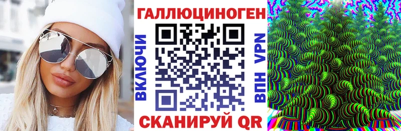 Купить где  Каменск-Шахтинский  Псилоцибиновые грибы Psilocybine cubensis 